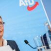 Alice Weidel und Tino Chrupalla. Die AfD-Spitze strebt einen Austritt aus dem rechten Parteienbündnis an und will damit einem Ra
