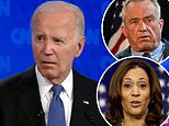Shock finding in DailyMail.com survey suggests Trump can STILL be defeated in 2024... but only if Dems commit to one incredible gamble, writes poll expert JAMES JOHNSON