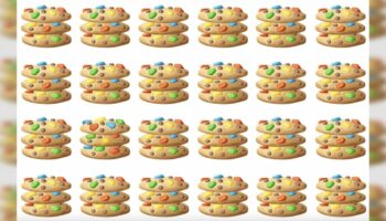 Suchbild: Augentest: Finden Sie den einzigartigen Cookie in 15 Sekunden?