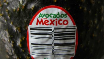 USDA suspends avocado inspections in Mexican state over security fears