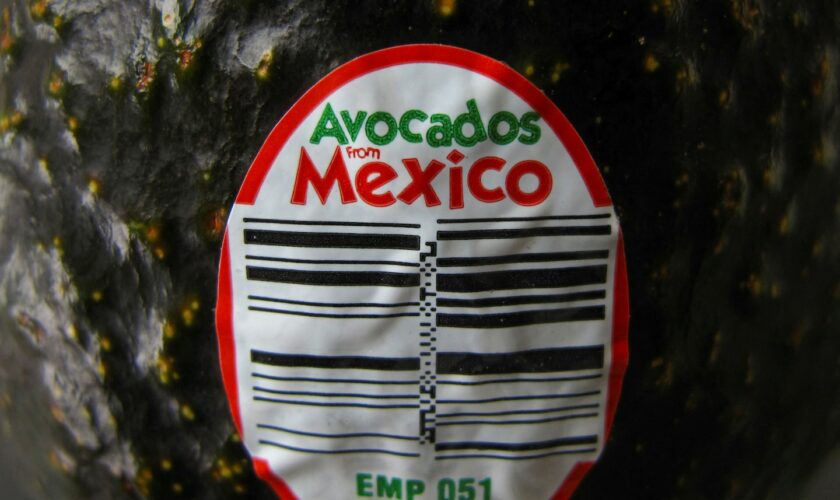 USDA suspends avocado inspections in Mexican state over security fears