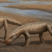 Un ancêtre des crocodiles vient d'être découvert et il a 237 millions d'années