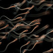Alerte sur les stocks de sperme, le nombre de donneurs de gamètes diminue pour la première fois