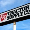 Black farmers' association calls for Tractor Supply CEO's resignation after company cuts DEI efforts
