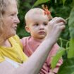 En Suède, les grands-parents payés pour s’occuper de leurs petits-enfants