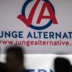 Hessischer Landtag:AfD-Abgeordnete bilden Führungstrio der Jungen Alternative