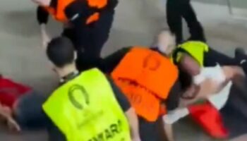 Stewards appeared to punch and kick a football fan