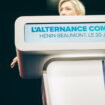 EN DIRECT - Législatives : après les dérapages des candidats RN, «la commission des conflits saisie d’un certain nombre de cas», promet Marine Le Pen