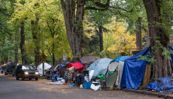Some Democrats call for changes to homeless camping laws as 'uncertainty' follows Supreme Court ruling
