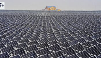 Mutprobe für Chinas Solarindustrie