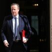 Cameron and Holden resign as Tories reshuffle top team