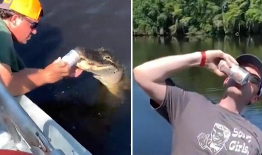 Hirnrissige Aktion: Männer nutzen lebendigen Alligator, um Dosenbier zu öffnen