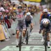 Tour de France: Ackermann „zurück in der Weltspitze“