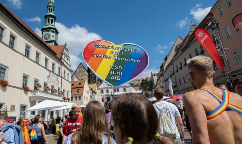 Mehr als 1000 Teilnehmer bei CSD in Pirna nach Promi-Aufruf