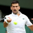 DIRECT. Wimbledon 2024 : une finale de rêve entre Djokovic et Alcaraz, score et résultat