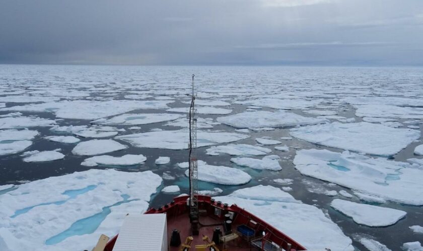Fataler Irrtum – Wie die Erderwärmung die Schifffahrt ausbremst