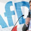 Sächsische Landtagswahl: Die AfD setzt im Wahlkampf auf Krah