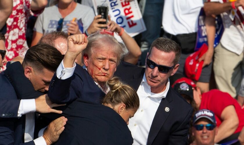 Donald Trump le poing brandi et le visage ensanglanté: juste après les tirs qui l'ont visé à Butler, le 13 juillet 2024