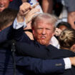 Trump, l’oreille ensanglantée, le poing levé : l’image d’une communication politique rodée