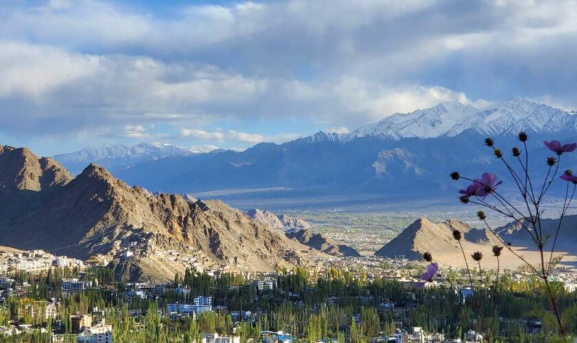 Un été au Ladakh : vertige, rêve et acclimatation