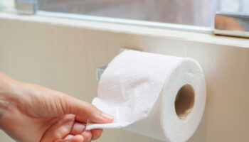 Ils ont créé un produit qui remplace le papier toilette, voici ce qui vous attend à l'avenir