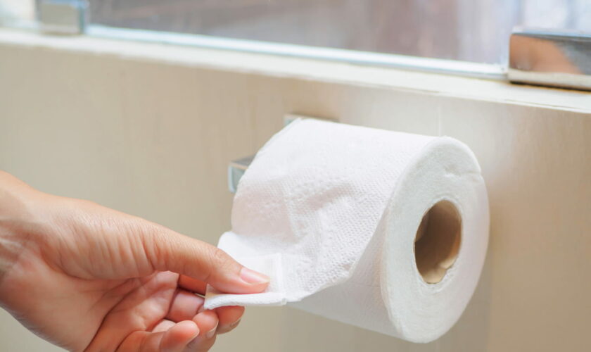 Ils ont créé un produit qui remplace le papier toilette, voici ce qui vous attend à l'avenir