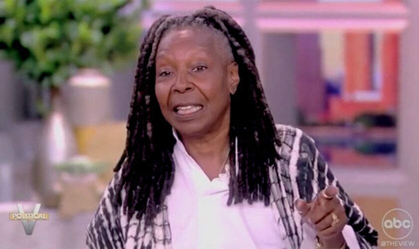 Whoopi Goldberg demands voters recognize 'we're all in danger' if Trump wins in November