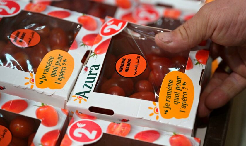 Les tomates marocaines à 99 centimes critiquées par la FNSEA, le producteur se défend