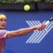 Zverev rückt souverän ins Halbfinale in Hamburg vor
