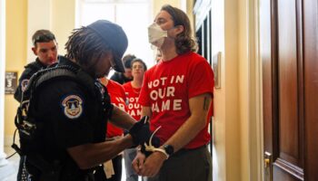 Hunderte antizionistische Aktivisten protestieren in US-Kongressgebäude