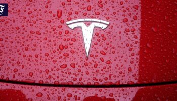 Tesla erleidet weiteren Gewinnrückgang