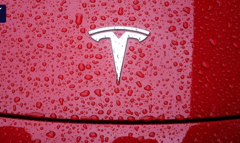 Tesla erleidet weiteren Gewinnrückgang