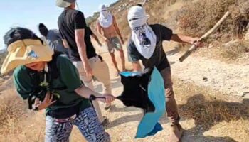 Cette vidéo montre-t-elle des Palestiniens frapper des Occidentaux venus les soutenir en Cisjordanie ?
