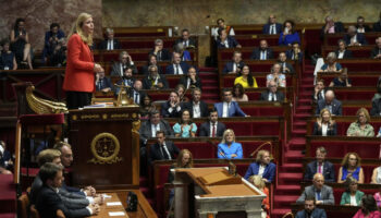 Assemblée nationale : « On ne peut préserver la démocratie par des mesures antidémocratiques »