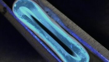 3D-printed blood vessel. Pic: Norbert Radasci,/University of Edinburgh