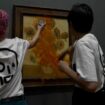 Protesters throwing soup over Vincent Van Gogh's famous painting Pic: Just Stop Oil