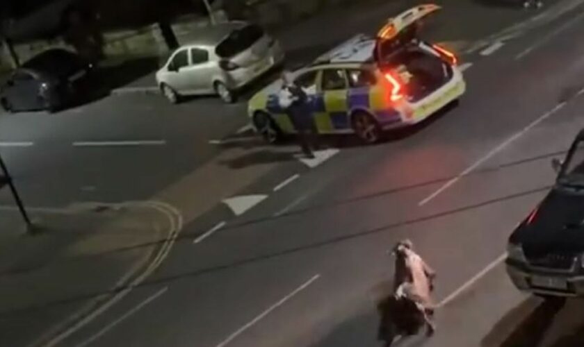 Police launch criminal investigation after officer was filmed running over cow