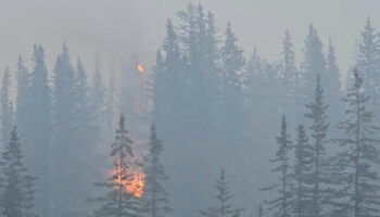 La ville canadienne de Jasper ravagée par “un mur de flammes”