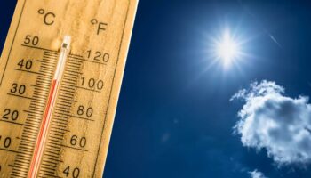 Extreme Hitze wird der neue Normalzustand