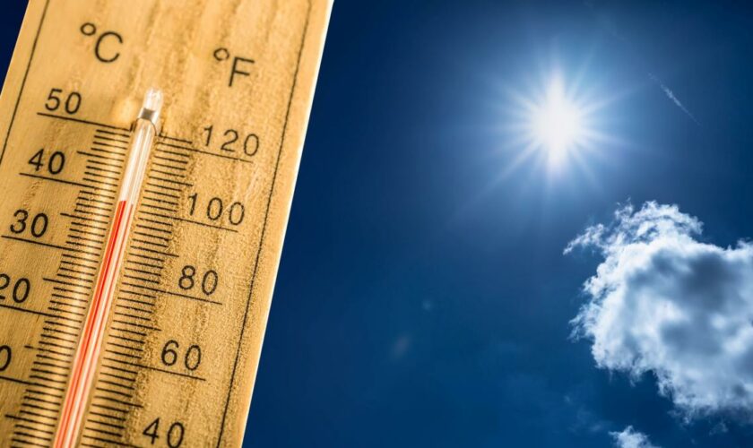 Extreme Hitze wird der neue Normalzustand