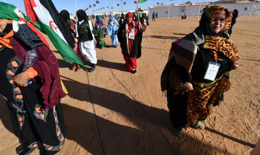 Sahara occidental : l’avertissement de l’Algérie à la France