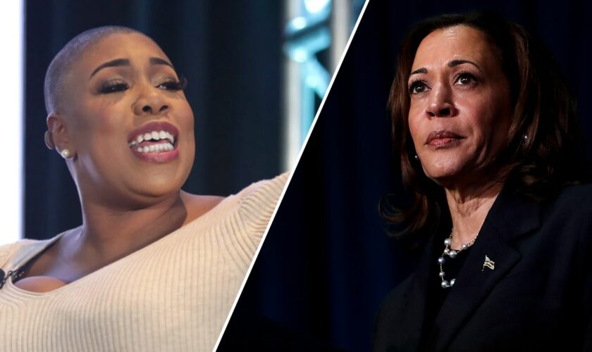 Ex-Kamala Harris spox hints at bad experience working with VP: 'You might be the last woman I work for'