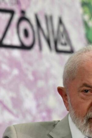 Malgré ses promesses, la politique environnementale de Lula déçoit