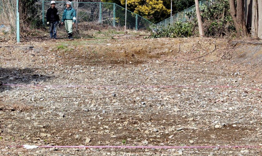 A mysterious pile of bones could hold evidence of Japanese war crimes, activists say
