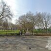 Plashet Park in East Ham, Newham. Pic: Google Street View
