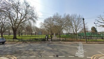 Plashet Park in East Ham, Newham. Pic: Google Street View