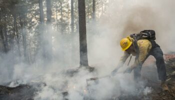 USA: Waldbrand in Nordkalifornien breitet sich weiter aus