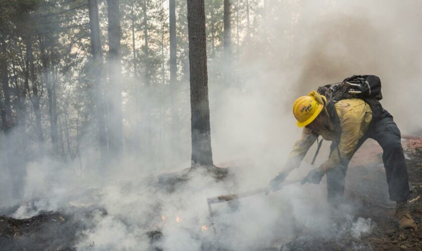 USA: Waldbrand in Nordkalifornien breitet sich weiter aus