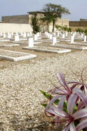Six tirailleurs africains massacrés par des officiers français en 1944 reconnus «morts pour la France»