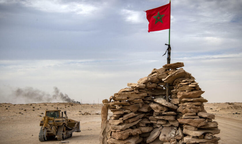 Sahara occidental : pour la France, le plan du Maroc est "la seule base" de règlement du conflit